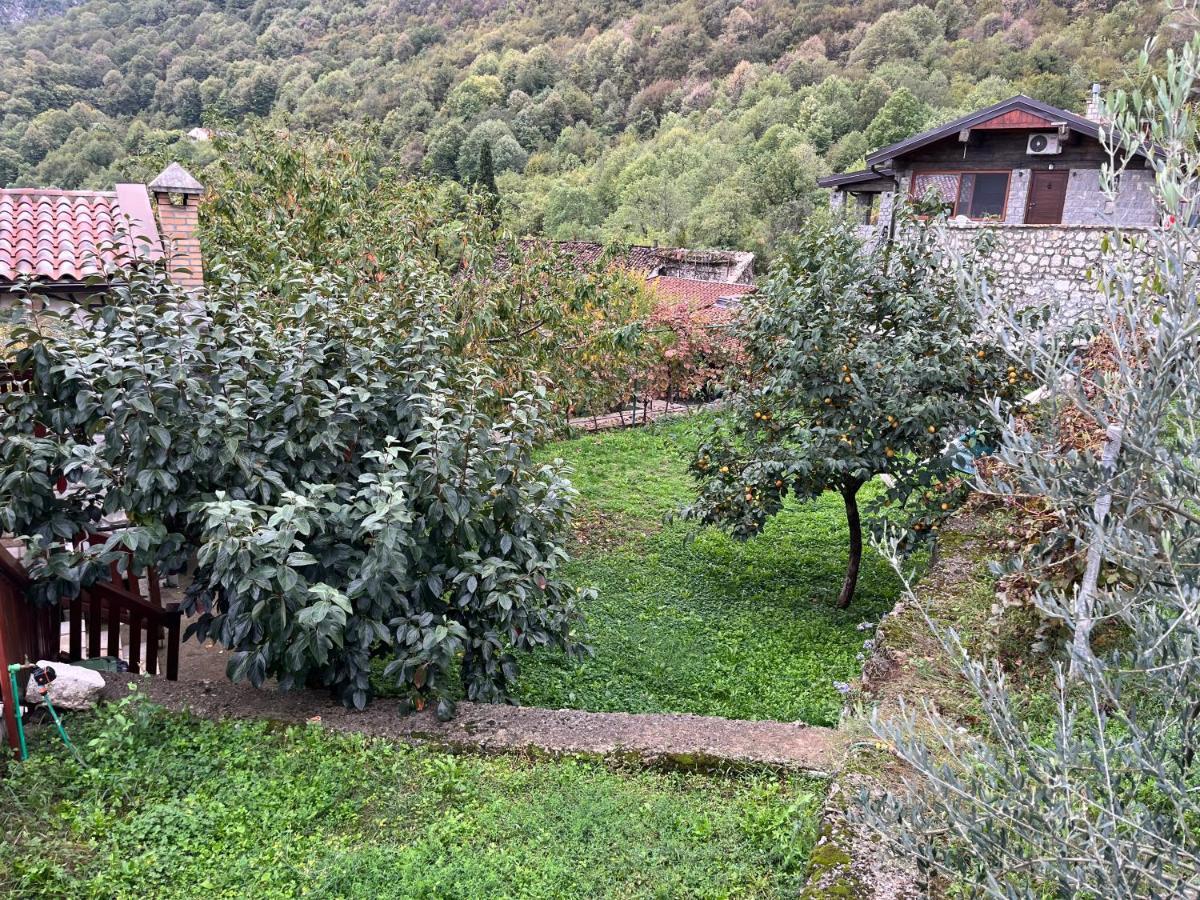 Bed & Wine Djonovic *