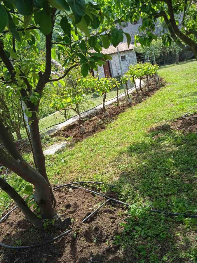 Bed & Wine Djonovic Virpazar